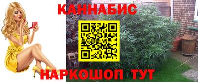 трава Новозыбков
